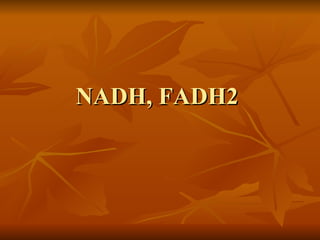 NADH, FADH2   