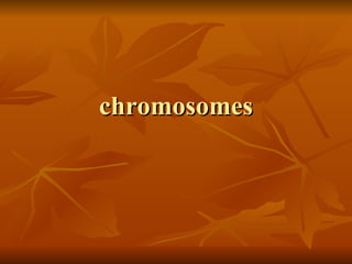 chromosomes 