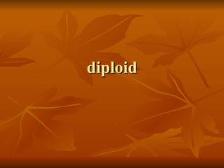 diploid 