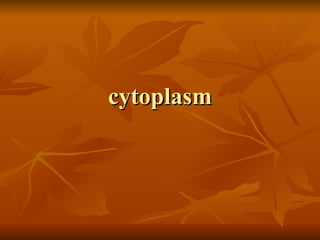 cytoplasm 