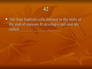 42 The four haploid cells formed in the male at the end of meiosis II develop a tail and are called ____________________. 