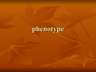 phenotype 