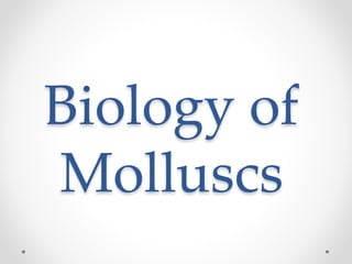Biology of Molluscs | PPTX