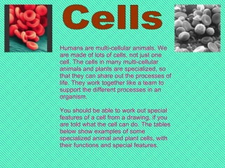 Cells Humans are multi-cellular animals. We are made of lots of cells, not just one cell. The cells in many multi-cellular animals and plants are specialized, so that they can share out the processes of life. They work together like a team to support the different processes in an organism.  You should be able to work out special features of a cell from a drawing, if you are told what the cell can do. The tables below show examples of some specialized animal and plant cells, with their functions and special features.  