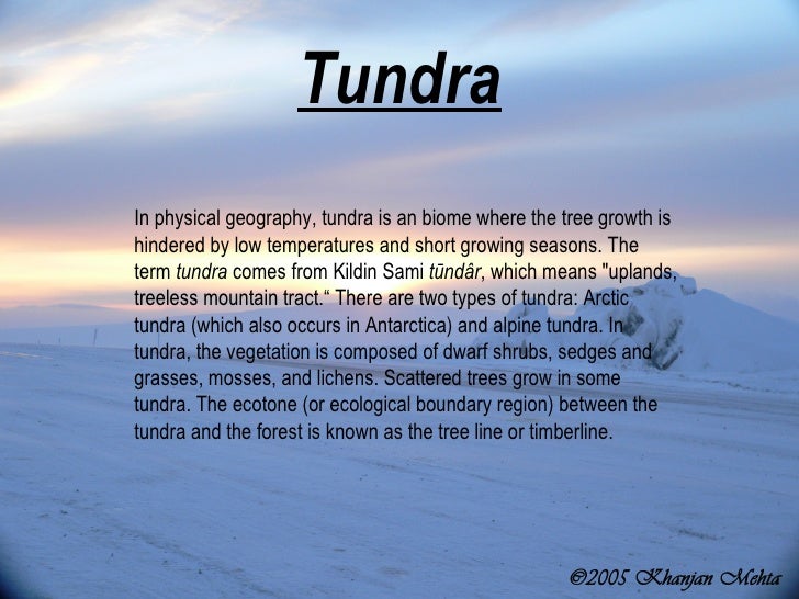 what is a tundra