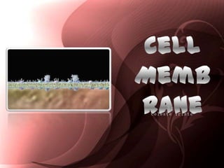 CellMembrane By  Celeste Triste 