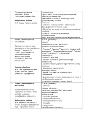 незалежна україна основні закони