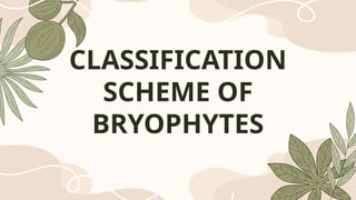 Bryophyte Classification classification scheme of bryophytes.pptx