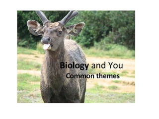 Biology  and You Common themes 