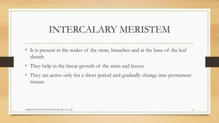 Biology  tissues class 9