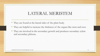 Biology  tissues class 9