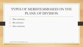 Biology  tissues class 9