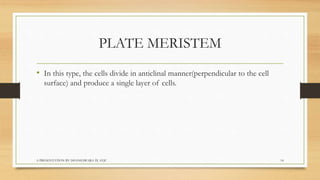 Biology  tissues class 9