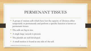 Biology  tissues class 9