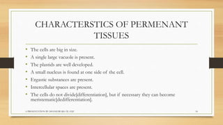 Biology  tissues class 9