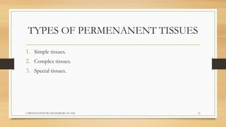 Biology  tissues class 9