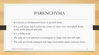 Biology  tissues class 9