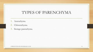 Biology  tissues class 9