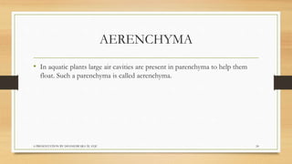 Biology  tissues class 9