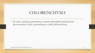 Biology  tissues class 9