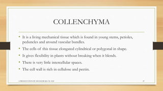 Biology  tissues class 9