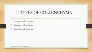 Biology  tissues class 9