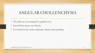 Biology  tissues class 9