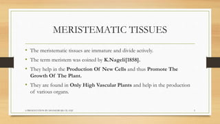 Biology  tissues class 9