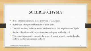 Biology  tissues class 9