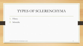 Biology  tissues class 9