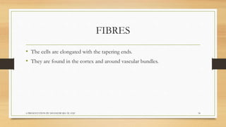 Biology  tissues class 9