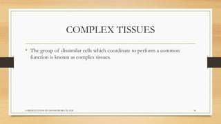 Biology  tissues class 9