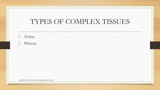 Biology  tissues class 9