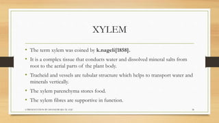 Biology  tissues class 9