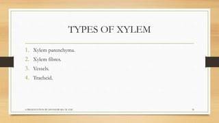 Biology  tissues class 9