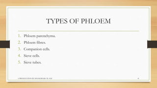 Biology  tissues class 9
