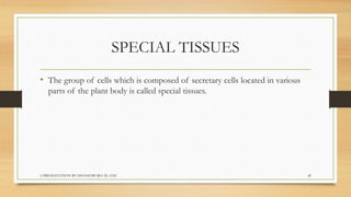Biology  tissues class 9