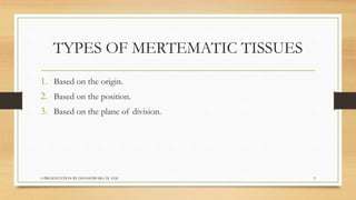 Biology  tissues class 9