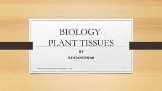 BIOLOGY-
PLANT TISSUES
BY
S.DHANESWAR
A PRESENTATION BY DHANESWAR.S IX AVJC 1
 