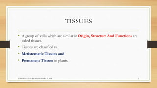 TISSUES
• A group of cells which are similar in Origin, Structure And Functions are
called tissues.
• Tissues are classifi...