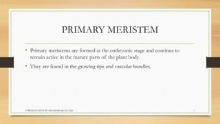 PRIMARY MERISTEM
• Primary meristems are formed at the embryonic stage and continue to
remain active in the mature parts o...