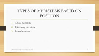 TYPES OF MERISTEMS BASED ON
POSITION
1. Apical meristem.
2. Intercalary meristem.
3. Lateral meristem.
A PRESENTATION BY D...