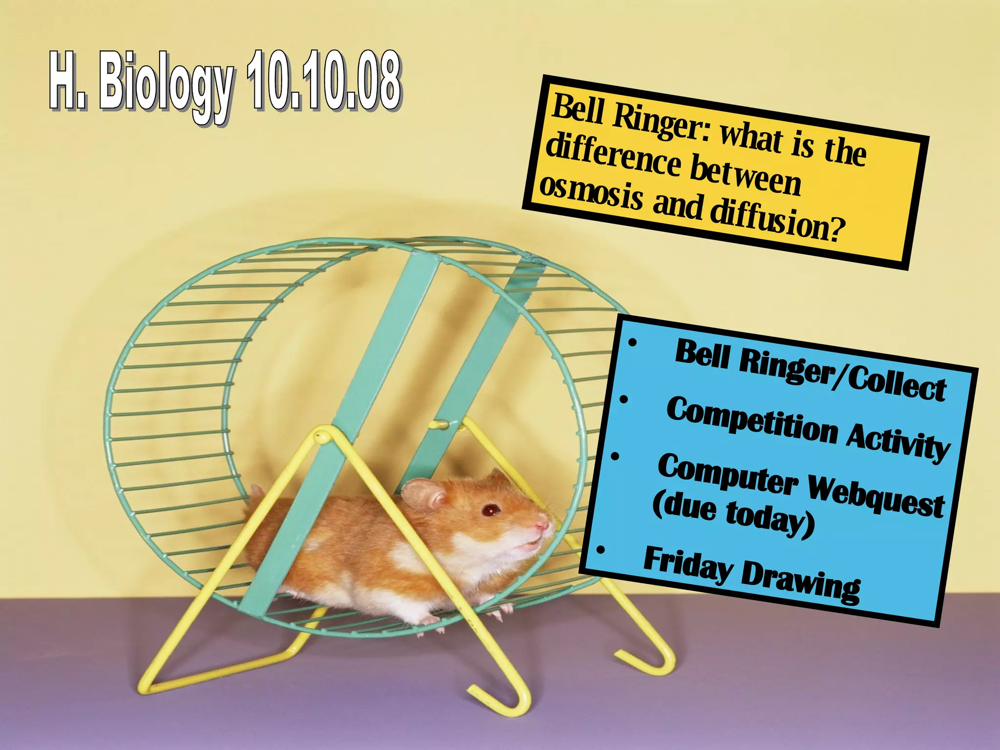 H. Biology 10.10.08 Bell Ringer: what is the difference between osmosis and diffusion? Bell Ringer/Collect Competition Activity Computer Webquest (due today) Friday Drawing 