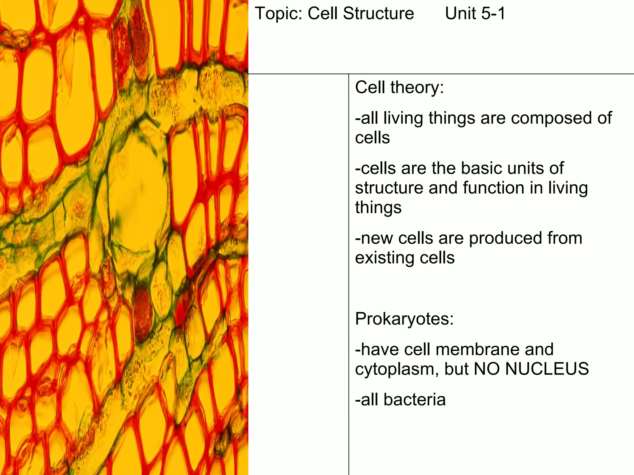 Topic: Cell Structure Unit 5-1 Cell theory: -all living things are composed of cells -cells are the basic units of structure and function in living things -new cells are produced from existing cells Prokaryotes:  -have cell membrane and cytoplasm, but NO NUCLEUS -all bacteria 