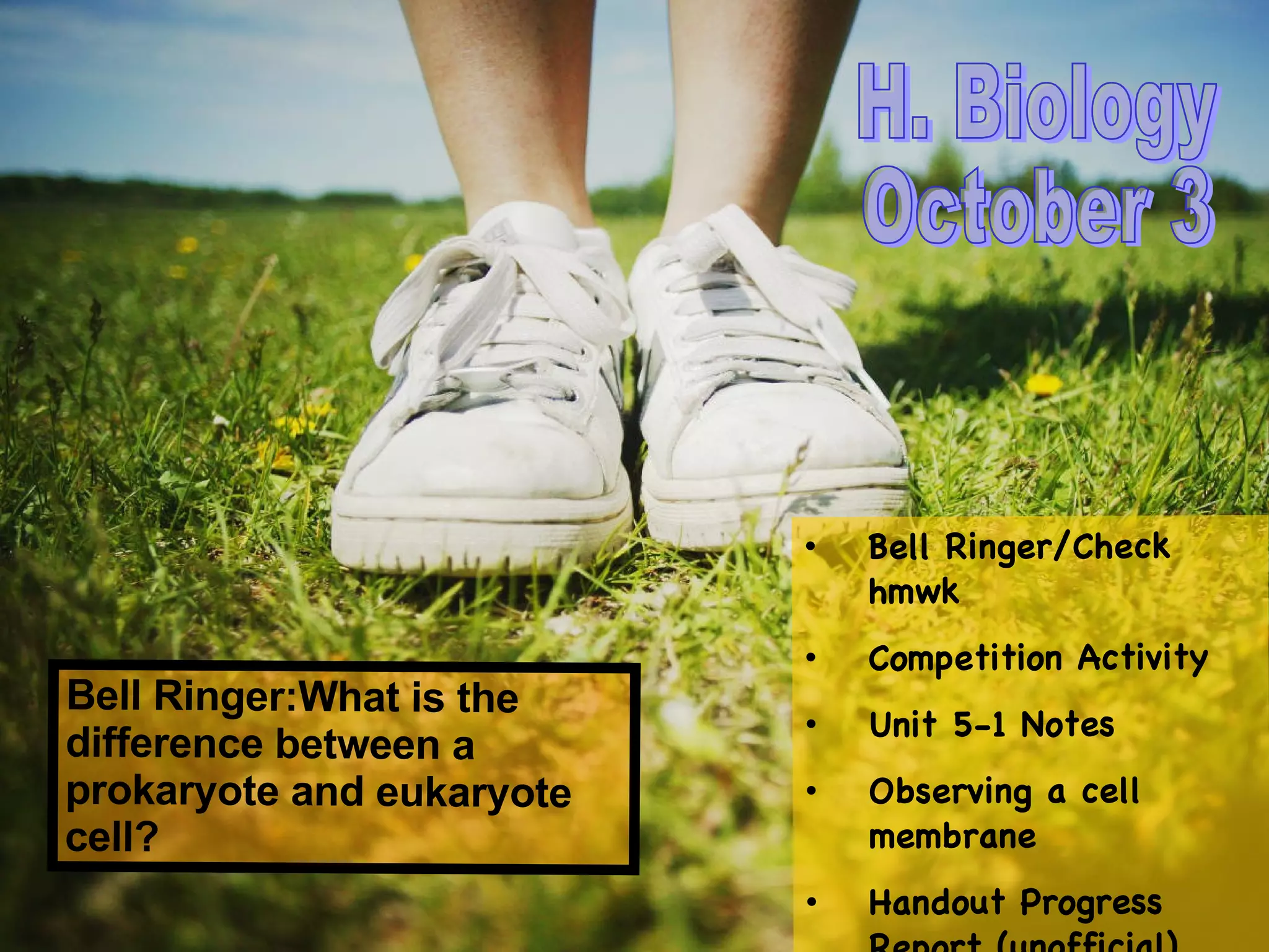 H. Biology October 3 Bell Ringer:What is the difference between a prokaryote and eukaryote cell? Bell Ringer/Check hmwk Competition Activity Unit 5-1 Notes Observing a cell membrane Handout Progress Report (unofficial) 