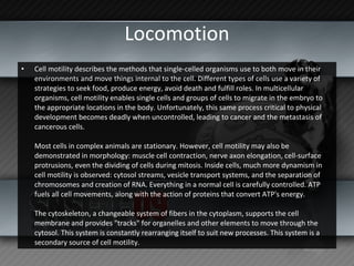 The Nature of Biology | PPT