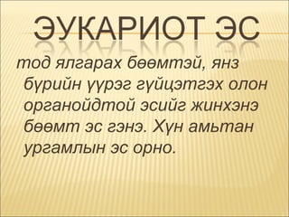 тод ялгарах бөөмтэй, янз бүрийн үүрэг гүйцэтгэх олон органойдтой эсийг жинхэнэ бөөмт эс гэнэ. Хүн амьтан ургамлын эс орно.  