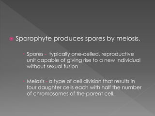  Sporophyte produces spores by meiosis. 
 Spores - typically one-celled, reproductive 
unit capable of giving rise to a new individual 
without sexual fusion 
 Meiosis - a type of cell division that results in 
four daughter cells each with half the number 
of chromosomes of the parent cell. 
 