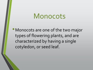 Monocots 
•Monocots are one of the two major 
types of flowering plants, and are 
characterized by having a single 
cotyledon, or seed leaf. 
 