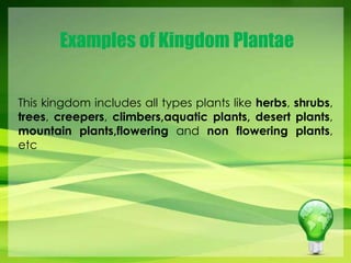 Examples of Kingdom Plantae 
This kingdom includes all types plants like herbs, shrubs, 
trees, creepers, climbers,aquatic plants, desert plants, 
mountain plants,flowering and non flowering plants, 
etc 
 